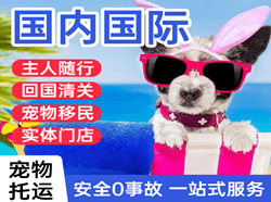 东河航空货运国际宠物托运 【国